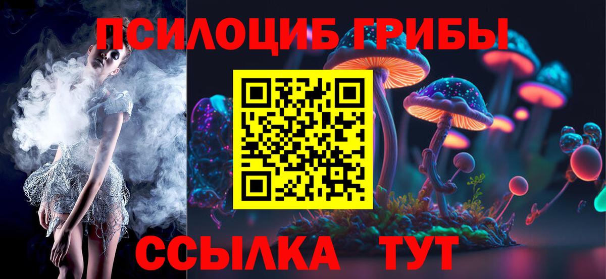 Галлюциногенные грибы Psilocybe Нягань